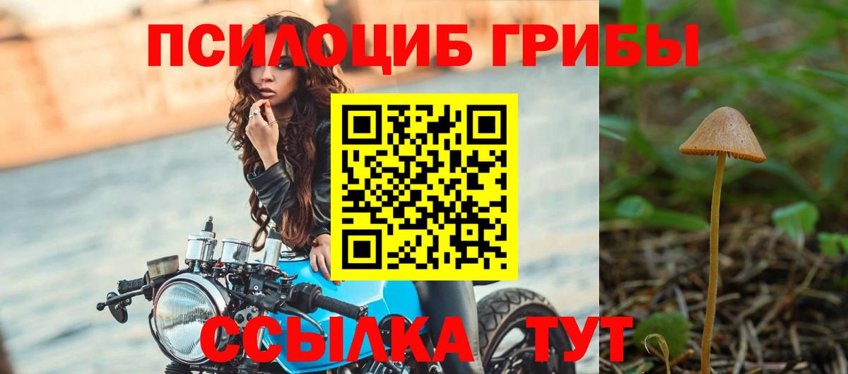 Псилоцибиновые грибы мухоморы Новороссийск