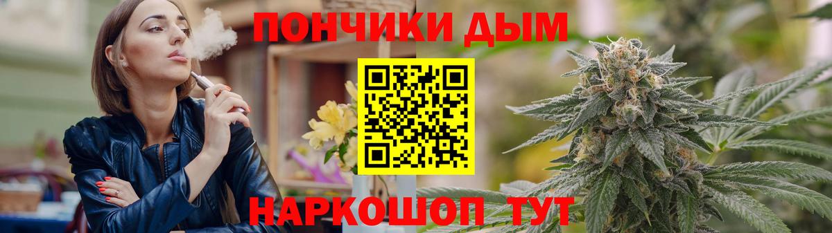 Каннабис сатива Новороссийск